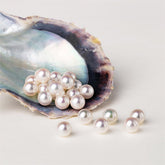 【Sea Water Lover】 Japanese Akoya(1 Sea Water Pure White Round Shape Pearl) -TikTok Live