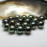 【Valentine’s special】“Sea my love”set(1 black Tahitian+5 baby Akaya)-tiktok live