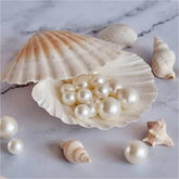 【Light Lover】Snow Ball (One 11-14mm Pearl With a 70% Chance to Get White Color) -TikTok Live