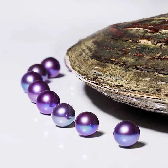 【Purple Lover】Blackberry (One 10-13mm Pearl With a 90% Chance to Get Purple Color) -TikTok Live